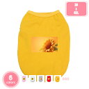 ペット 犬服 春夏秋 tシャツ 小中型犬 四季通用 ペット服 仮装 ドッグウェア ベスト ファッション 人気 袖なし 綿製 犬猫洋服 通気性 涼やか 日焼き防ぐ 脱毛保護 お散歩 お出かけ 家着 YJSO