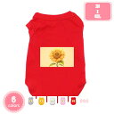 1000円OFFクーポン ペット 犬 服 春夏 Tシャツ 綿 袖なし 犬の服 シャツ 小型犬 中型犬 春 夏 犬服 シャツ 夏服 薄手 柔らかい カジュアル おしゃれ 可愛い ペット 伸縮性 着せやすい 脱毛保護 室内 お散歩 YJSO
