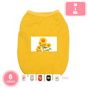 1000円OFFクーポン ペット 柔らかい 通気性 伸縮性 軽量 ペット服 抜け毛防止 外防虫 犬 春服 両足 おしゃれ お散歩 お出かけ 可愛い ペット犬服 Tシャツ 秋冬衣装 柔らかい 防寒 コート 春秋冬服 YJSO