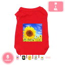 ペット 小型犬 中型犬 春秋冬服 可愛い 綿製 小中型犬服ストライプ Tシャツ 犬服 ドッグウェア ベスト お散歩 春夏服 カジュアル 暖かい 防寒 綿服 冬服 あたたかい tシャツ YJSO