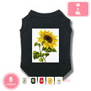 1000円OFFクーポン ペット 柔らかい Tシャツ 愛犬 小型犬 可愛い半袖 タンクトップ 両足のペット服 犬用 わんこ服 通気 散歩 お出かけ 吸水 速乾 ...