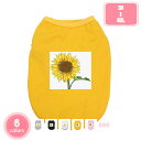 1000円OFFクーポン ペット 犬服 犬の服 春夏用 タンクトップ 綿製 プリント薄手犬 ペットウェア ドッグウェア ペット服 春夏プルオーバー 犬用 わんこ...