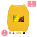 ペット 子犬 中小型犬用 ペット服 プルオーバー 部屋着 虫除け 毛落ち防止 写真撮影 春夏用 タンクトップ 綿製 プリント薄手犬 服 ペットウェア ドッグウェア ペット服 YJSO