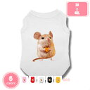 300円OFFクーポン 犬服 Tシャツ 春夏 夏服 シャツ 袖なし 涼しい ペットウェア 犬 猫 ゴールデンレトリバー ペット用 中大型犬 おしゃれ 人気 通気性 日焼き防ぐ 脱毛保護 寝間着 お散歩 お出かけ YJSO