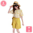 800円OFFクーポン 子供服 女の子 セットアップ 夏服 tシャツ ハーフパンツ 上下2点セット キッズ 夏服 トップス ジャージ フリル ガールズ カジュア...