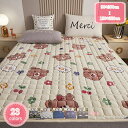 300円OFFクーポン 敷きパッド あったか 秋冬用 シングル 秋冬 敷パット 敷パッド 敷きパット ベッドパッド 暖かい マイクロファイバー 敷き布団 フラン...