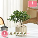 800円OFFクーポン 観葉植物 フェイクグリーン まあるい ミニ 鉢植え 造花 人工植物 インテリア テーブル 玄関 窓側 リビング 棚 オフィス 飾り 葉っ...