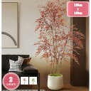 南天竹 人工観葉植物 大型 竹 鉢付き 人工竹の木 鉢植え 赤い竹 グリーン竹 造花 光触媒 光の楽園 シミュレーションポッティン グリーンプラント 撮影小道具...