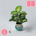 500円OFFクーポン インテリア グリーン フェイクグリーン 人工 観葉植物 フェイク 卓上 造花 テーブルデコレーション エアプランツ かわいい おしゃれ ...
