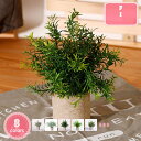 人工の緑の鉢植え 偽の植物の装飾品 人工植物盆栽 人工鉢植え エントランスグリーンプラント 草のどの植物 偽の鉢植え 人工植物の装飾 のどの鉢植え 人工観葉植物...