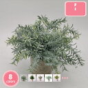 800円OFFクーポン 人工の緑の鉢植え 偽の植物の装飾品 人工植物盆栽 人工鉢植え エントランスグリーンプラント 草のどの植物 偽の鉢植え 人工植物の装飾 の...