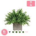 フェイクグリーン 観葉植物 人工観葉植物 造花インテリア 造花 インテリア おしゃれ 花瓶付き 枯れない花 置物 田園風 入学 卒業 母の日ギフト 父の日 お見...
