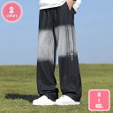 300円OFFクーポン デニムパンツ メンズ 大きいサイズ ジーンズ ジーパン Gパン ワイドパンツ ワイドデニム バギーパンツ イージーパンツ 太め 春 夏 ...