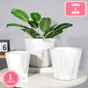 500円OFFクーポン 観葉植物鉢 植木鉢 テラコッタ 耳付き 底穴無し ホワイト 卓上 飾り 小型植物適用 おしゃれ 北欧 水耕栽培 オフィス飾り 事務室 バ...