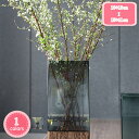 1700円OFFクーポン 花瓶 ガラス 方形 ガラスボトル 高さ1cm 水栽培 北欧スタイル インテリア グリーン ドライフラワー 緑 フラワーベース 花器 おしゃれ 花びん モダン セパレート ガラスベース シンプル リアルな造花 アレンジメント かびん オフィス 小さい 玄関 YJSO