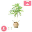 人工観葉植物 大型 本物そっくり フェイクグリーン 観覧植物 人工観葉樹 大型観葉植物 室内用 造花 シンプル オフィス 室内 インテリア 大型 鉢 おしゃれ ...