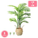 人工観葉植物 大きい フェイクグリーン 観葉植物 室内用 おしゃれ 人工観葉植物フェイク 造木 シンプル オフィス 室内 インテリア 水やり不要 枯れない 盆栽...