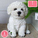 777円OFFクーポン ガーデニング 置物 ガーデンオーナメント 犬 ガーデン 雑貨 オブジェ かわいい 樹脂 飾り 装飾 耐久 プレゼント ギフト 庭 部屋 屋外 玄関 出窓 階段 インテリア 新築飾り 装飾品 誕生日 工芸品 縁起物 北欧風 置き物 YJSO