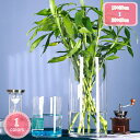 300円OFFクーポン 大型フラワーベース 高さ40cm フラワーベース ガラス 花瓶 シンプル 透明 クリア 花器 造花 大きい 花びん グラス おしゃれ 北欧 大きめ 大型 円柱 インテリア 硝子 花入れ アレンジ フラワーグラス ガラスベース ベース 円筒ベース一輪挿し 窓辺 YJSO