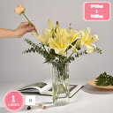 800円OFFクーポン 花瓶 ガラス クリア 花入れ 高さ15cm 水栽培 北欧スタイル インテリア 透明花瓶 ドライフラワー 円形 フラワーベース 一輪挿し おしゃれ 花びん シンプル 一体型 花器 モダン 生け花 アレンジ かびん ベッドルーム 小さい 書斎 YJSO