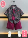800円OFFクーポン 半袖ポロシャツ 子供服 キッズ 男の子 ハーフパンツ 上下セット 通園服 通学 トップス 2点セット 半袖 ボーイズ ポケット付 かわい...