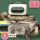 1000円OFFクーポン ペットキャリーバッグ ショルダー キャリーバッグ 猫 犬 折りたたみ式 耐久性 ペット用 ショルダー ペットバッグ 猫用 小型犬用 小動物 旅行 外出 お出かけ 散歩用ハンドバッグ 手提げバッグ お出かけバック YJSO