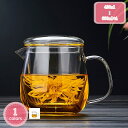 1000円OFFクーポン ガラスティーポット 茶器 ステンレス茶こし付き 直火対応 耐熱 耐熱ガラス コーヒー ドリップポット レンジ ティーポット ガラス製 ...
