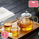 800円OFFクーポン ティーポット紅茶 茶漉し 洗いやすい ティーポット 耐久性 軽量 お茶 日本茶 ハーブティー 緑茶 割れない 直火不可 急須 クリアポッ...