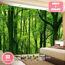 500円OFFクーポン タペストリー 景観タペストリー 風景写真タペストリー 川の水 さわやか 森林 太陽 景色 リビングルーム キノコ 個性ギフト 樹木 間仕...