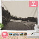 800円OFFクーポン タペストリー 景観タペストリー 自然景観タペストリー 寝室 蝶 自然風景 ストリーム 森林 ココナッツの木 落ち葉 洗える 寝室 アパー...