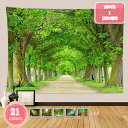 800円OFFクーポン タペストリー 風景写真タペストリー 大判タペストリー 寝室 ココナッツの木 落ち葉 森林 自然風景 蝶 ストリーム 洗える アパート 部...