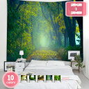 800円OFFクーポン タペストリー ファンタジーの森のタペストリー 大判タペストリー アパート ストリーム 樹木 自然風景 森林 落ち葉 太陽 取り外し可能 ...