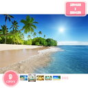 800円OFFクーポン タペストリー ココナッツタペストリー ビーチタペストリー 宿舎 海の景色 ココナッツの木 海洋 日光 ビーチ リーフ 洗える リビングル...