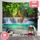 800円OFFクーポン タペストリー 森のタペストリー 風景写真タペストリー 森林 北欧 落ち葉 川の水 太陽 リビングルーム 樹木 間仕切り 景色 撮影用 背...