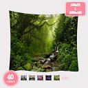800円OFFクーポン タペストリー 風景写真タペストリー 大判タペストリー アパート 森林 樹木 ストリーム 自然風景 太陽 落ち葉 取り外し可能 部屋 リビ...