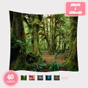 800円OFFクーポン タペストリー 景観タペストリー 森のタペストリー 寝室 自然風景 ストリーム ココナッツの木 森林 動物 蝶 洗える 寝室 アパート さ...