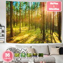 500円OFFクーポン タペストリー 壁掛け 風景 梦幻自然 木漏れ日の森 撮影用 背景 間仕切りカーテン おしゃれ インテリア雑貨 巨大美しい星空 ポスター ...