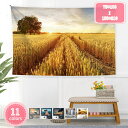 800円OFFクーポン 夕陽風景タペストリー 自然風景 サンセット ビーチとヤシの木 おしゃれ壁掛け ハワイ 南国風景 インテリア ファブリック装飾用品 モダン...