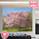 1700円OFFクーポン タペストリー 壁掛け 大判 桜の花 春 花 風景画 おしゃれ ファブリック装飾用品 インテリア 多機能 壁や窓の飾り 布ポスター お店...