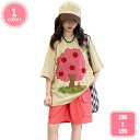 800円OFFクーポン キッズ ジャージ 上下 女の子 半袖 tシャツ ハーフパンツ 子供 ショートパンツ 上下セット スウェット ガールズ 夏服 2点セット ...