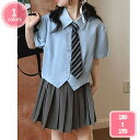 800円OFFクーポン 子供服 チェックスカート 女の子 ブラウス 2点セット プリーツスカート ガールズ ショート トップス 半袖 セットアップ ミニスカート...