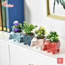 300円OFFクーポン 植木鉢 プランター 可愛い フラワーポット 底穴あり 置物 オブジェ 飾り 箱庭 鉢 可愛い ゾウ 象 おしゃれ サボテン 多肉植物 ゾ...