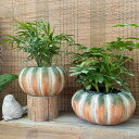 1700円OFFクーポン 小型植木鉢 屋内植木鉢 カボチャ型 セメント製 鉢 おしゃれなインテリア ガーデニングの装飾 観葉植物植木鉢 室内用プランター カボチ...