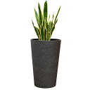 1700円OFFクーポン 植木鉢 特大 割れにくい プラスチック製 大型 サボテンポット 植木ポット プラプランター プラ植木鉢 植物用プラントポット インテリ...