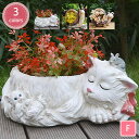 777円OFFクーポン プランター 動物型 亀 猫 かたつむり モデル 樹脂材質 可愛い 多肉植物ポット フラワーポット サボテンポット 植物用プラントポット 屋内外利用可 ハーブ鉢 花鉢 インテリア鉢 装飾用プランター 仔猫 癒し 庭園の装飾 YJSO