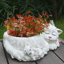 1700円OFFクーポン 多肉植物ポット カントリー風 多肉容器 猫 亀 癒し 面白い プランター ガーデンポット 植物用プラントポット インテリア鉢 ガーデン...