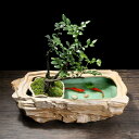 1700円OFFクーポン 植物用プラントポット 排水孔なし 水耕栽培 陶器植木鉢 植木鉢 お洒落 屋内外利用可 雰囲気作り 金魚鉢 水耕栽培プランター 底穴なし...