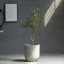 1700円OFFクーポン ガーデンポット 大型 鉢 底穴ある セメント プランター 植木プランター セメント植木鉢 穴あり インテリア鉢 おしゃれな植木鉢 室内...