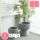 3500円OFFクーポン セメント製 シンプル 北欧 鉢植え 玄関 落地 大型 底に水抜き穴あり アイデア植木鉢 鉢ポット 受皿付き カップ型 ストライプ モダ...