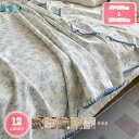 1000円OFFクーポン ガーゼケット シングル セミダブル 綿100% タオルケット 毛布 ブランケット ベビーケット 掛け布団 掛布団 かけ布団 掛けふとん ひざかけ ひざ掛け 秋 冬 暖かい あったか 夏掛け 肌布団 保育園 入園準備 ベビー 赤ちゃん 出産祝い プレゼント YJSO